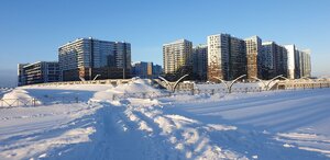 Aleksandra Grina Boulevard, 1 ، سان بطرسبرغ: صورة