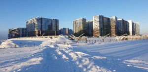 Aleksandra Grina Boulevard, 1, Saint Petersburg: photo