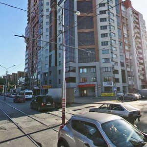 Pushkina Street, 229, Samara: photo