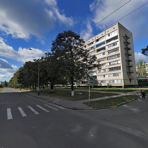 Marshala Rokosovskoho Avenue, 3, Kyiv: photo