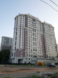 Obschestvenniy Lane, 5, Saint Petersburg: photo