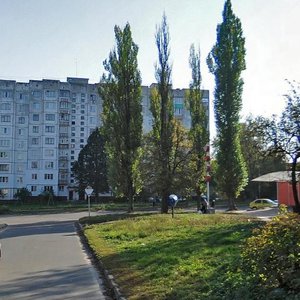 Vulytsia Viacheslava Chornovola, 4 ، : صورة