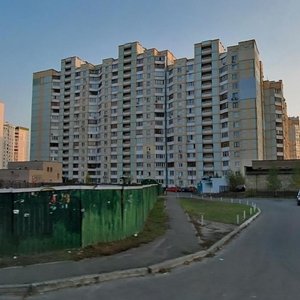 Киев, Вишняковская улица, 13Б: фото