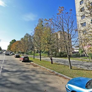 Batanichnaja Street, 17, Minsk: photo