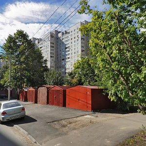 Volonterska street, 63, Kharkiv: photo