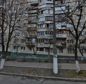 Bohdana Havrylyshyna Street, 11, Kyiv: photo