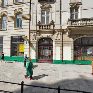 Vulytsia Rudanskoho, 1, Lviv: photo