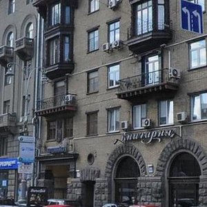 Velyka Vasylkivska Street, 8, : foto