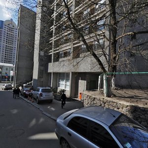 Ally Horskoi Lane, 1/54, Kyiv: photo