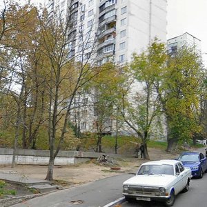 Patriarkha Mstyslava Skrypnyka Street, 9, Kyiv: photo