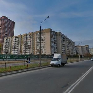 Drahomanova Street, 18, Kyiv: photo
