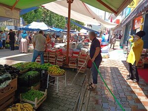 Памукова, Улица Гелишим, 1: фото