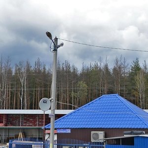 Village of Petrovskoe, 156 ، موسكو ومحافظة موسكو: صورة
