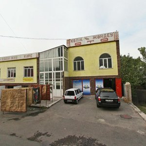 Vladimir Radostovets Street, 228А, Almaty: photo