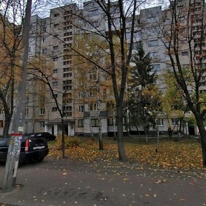 Anatoliia Solovianenka Street, No:6, Kiev: Fotoğraflar