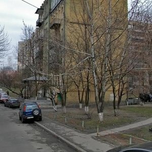 Vilhelma Kotarbinskoho Street, 21, Kyiv: photo