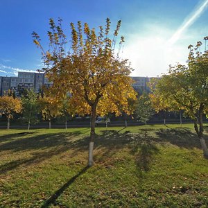Chulman Avenue, 32/42, : foto