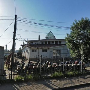 Vulytsia Otamana Holovatoho, 149, Odesa: photo