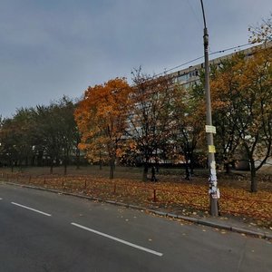 Mytropolyta Andreia Sheptytskoho Street, 24, Kyiv: photo