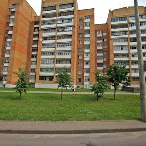 Praspiekt Dzimitrava, 52А, Mogilev: photo