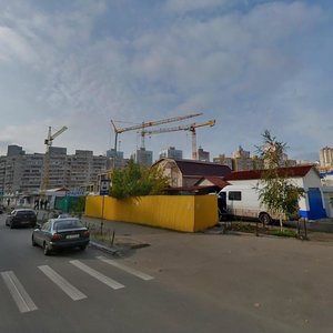 Kniazhyi Zaton Street, 10А, Kyiv: photo