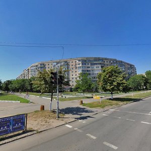 Vulytsia Semena Paliia, 78, : foto