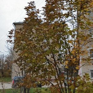 Тула, Улица Льва Толстого, 11: фото