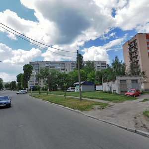 Shevchenka Street, No:37, Jytomyr: Fotoğraflar