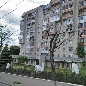 Vulytsia Pyrohova, 148, Vinnytsia: photo