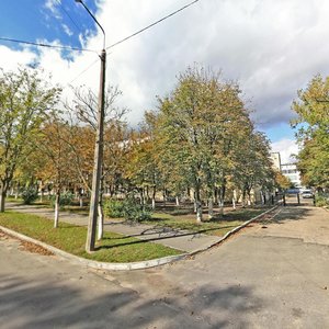 Staravilienski Tract, 93, Minsk: photo
