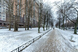 Kosmonavtov Avenue, 61к1, Saint Petersburg: photo