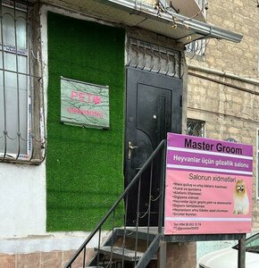 Bakı, Əhməd Rəcəbli küçəsi, 14: foto
