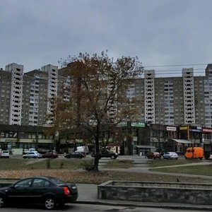 Akademika Zabolotnoho Street, 20А, Kyiv: photo