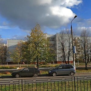 Shinnikov Avenue, 60, : foto