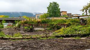 Leningradskaya ulitsa, No:22, Kusa: Fotoğraflar