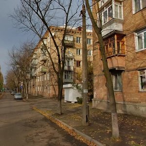 Ivana Svitlychnoho Street, 4, Kyiv: photo