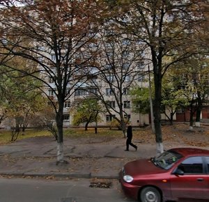 Mykhaila Lomonosova Street, 24, : foto