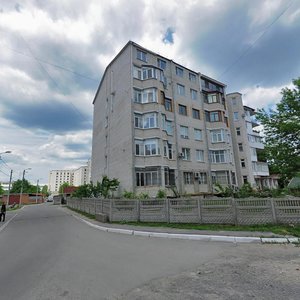 Vulytsia Rodiona Skaletskoho, 34А, Vinnytsia: photo