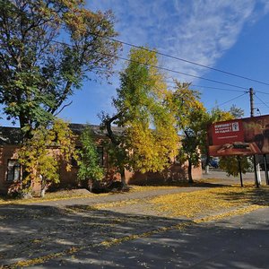 Pushkinska vulytsia, 69А, Mykolaiv: photo