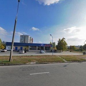 Vulytsia Vasylia Serhiienka, 50А, Zaporizhia: photo