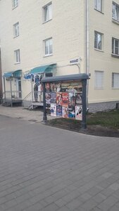 Chaykovskogo Street, 30, Vladimir: photo