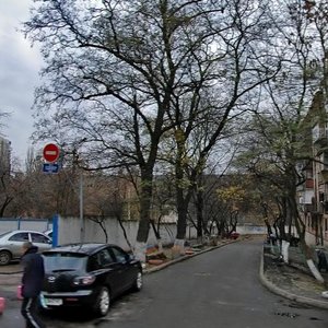 Mytrofana Dovnar-Zapolskoho Street, 10А, Kyiv: photo