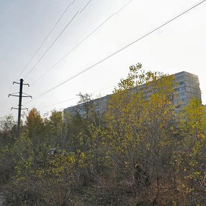 Avtozavodska vulytsia, 60, Zaporizhia: photo