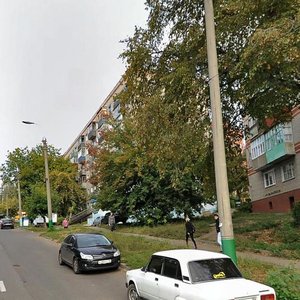 Chkalova Street, 51, Penza: photo