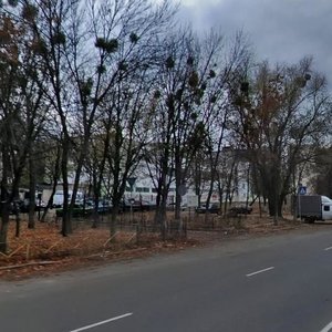 Romena Rollana Boulevard, 16, Kyiv: photo