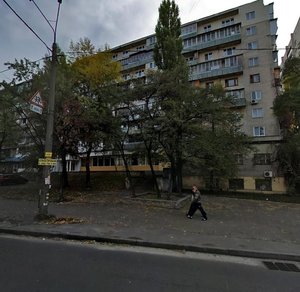 Raisy Okipnoi Street, 9, Kyiv: photo