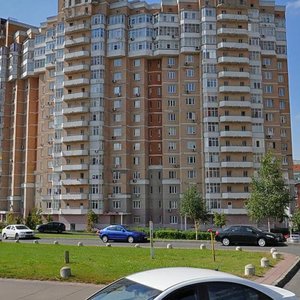 Novokurkinskoye Highway, 45 ، موسكو: صورة