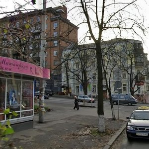 Sichovykh Striltsiv Street, 81/1, Kyiv: photo