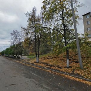 Ulitsa Gidrostroiteley, 1 ، نابريجني تشيلني: صورة