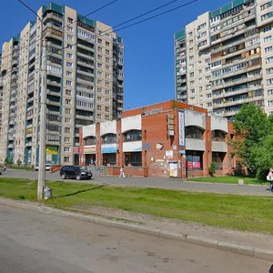 Санкт петербург наставников. Проспект наставников Санкт-Петербург. Проспект наставников, 23. СПБ проспект наставников. Проспект Косыгина дом 19 наставников.